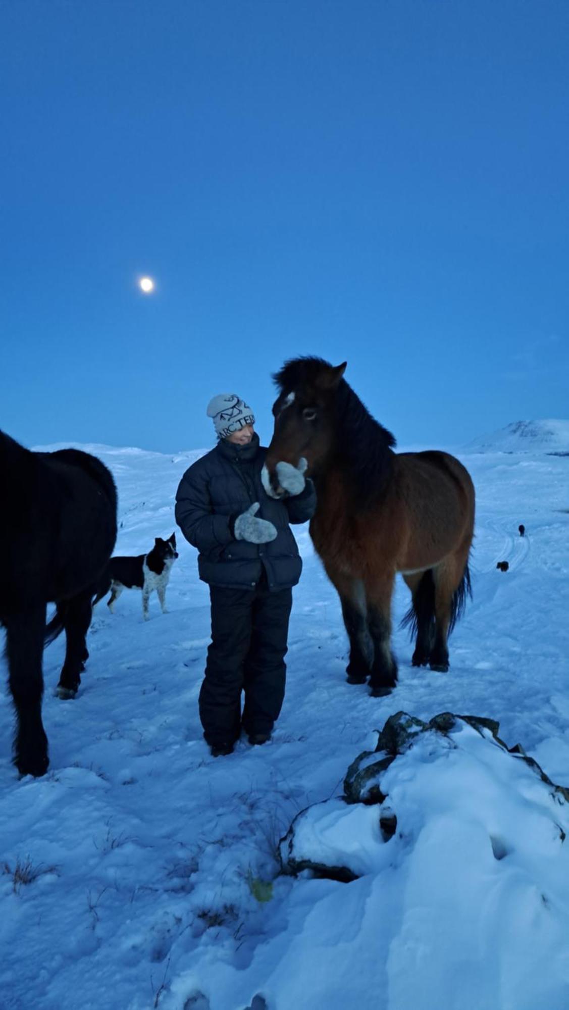 Вілла Gislaholt Борґарнес Екстер'єр фото